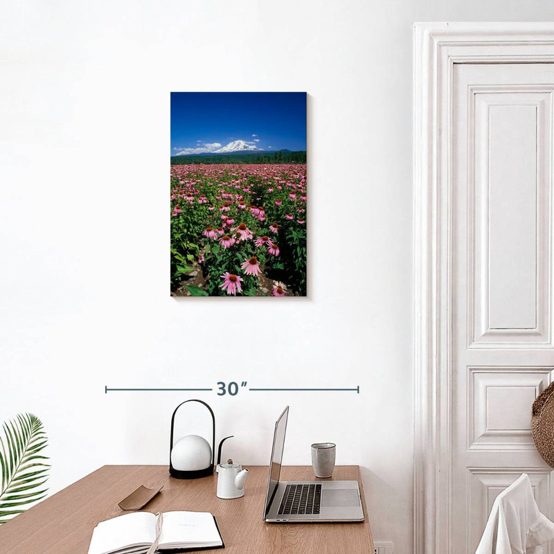 Harnek Echinacea Field, 24" H x 16" W