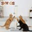 35.5cm H Cat Tree