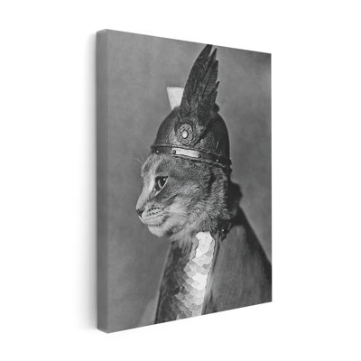 Brunnhilde le chat