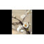 Branche de fleur de prunier rustique - 41,3 po de hauteur-804490126-804490125