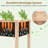 Raised Garden Bed Elevated Fir Wood Planter Box With 2 Large Planting Areas-1376967432