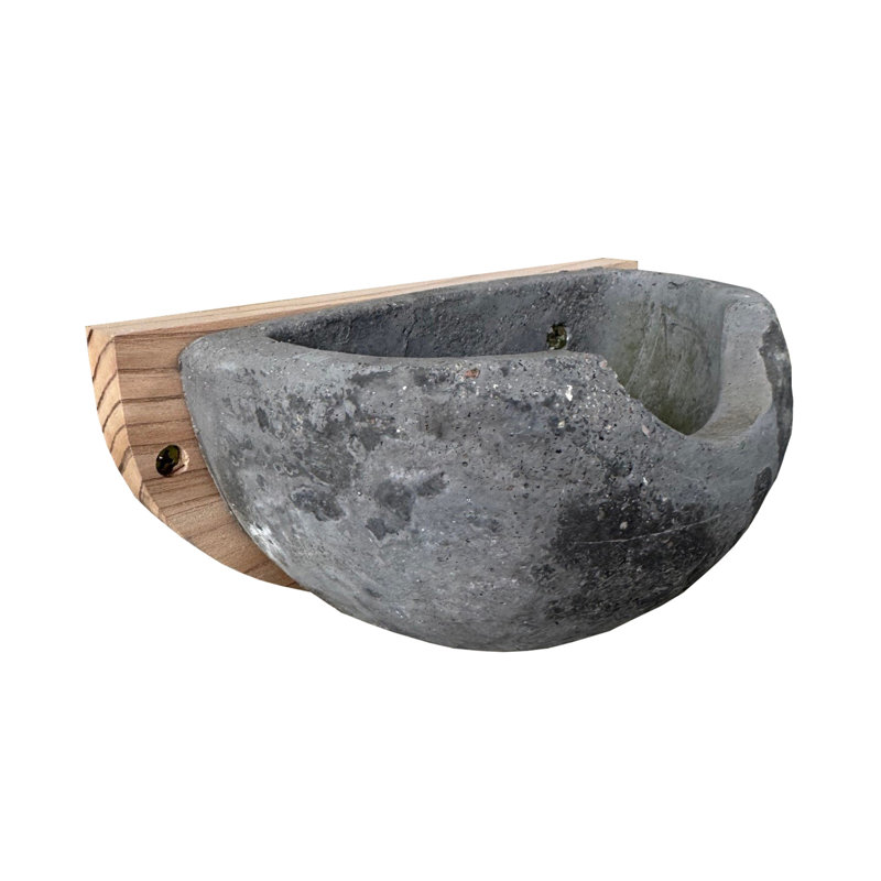 Concrete House Martin Bird Nest Box