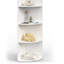 Birender Corner Bookcase