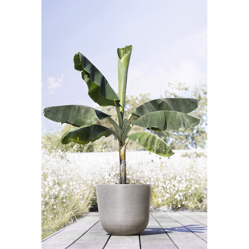Ecopots Oslo Indoor/Outdoor Modern Recycled Plastic Flower Pot Planter, 15.5" H x 17.75" W x 17.75" D, Taupe