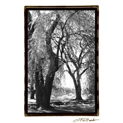 Summer Shade III - Wrapped Canvas Painting