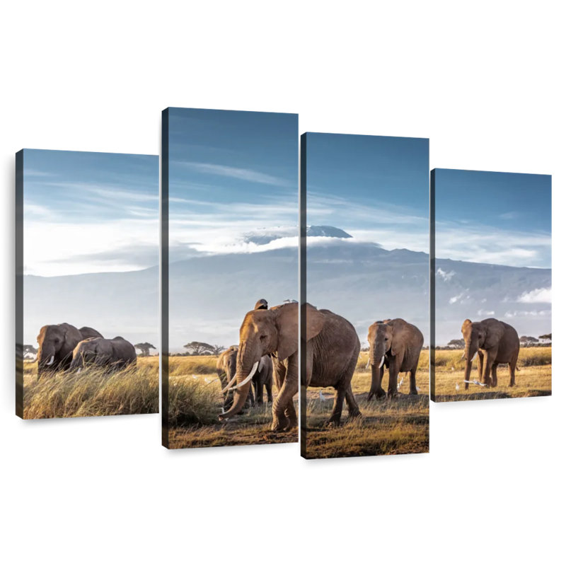 Brampt Kilimanjaro Elephants