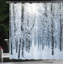 Winter Shower Curtain Set + Hooks-44247937