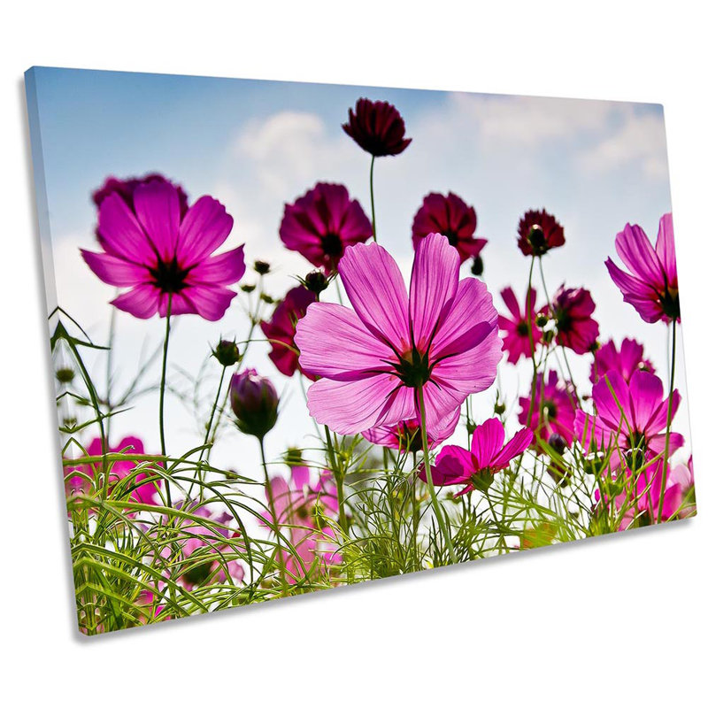 Cosmo Flower Field - Wrapped Canvas Print, 30.5cm H x 45.7cm W x 2cm D