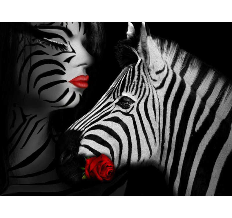 Art sur toile tendue par Hokku Designs Babette Gallery: Zebra Love