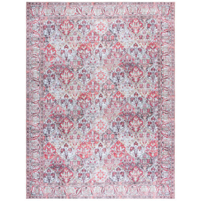 Cina Performance Machine Washable Oriental Rug