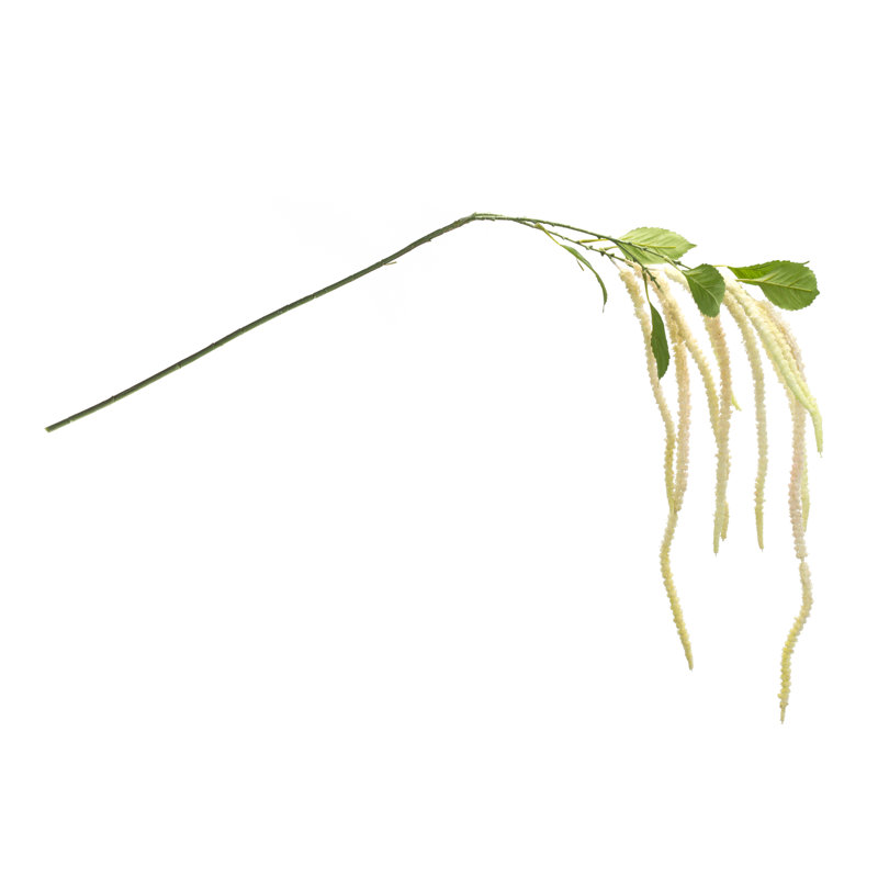 Tige florale Amaranthus (ensemble de 4), Blanc