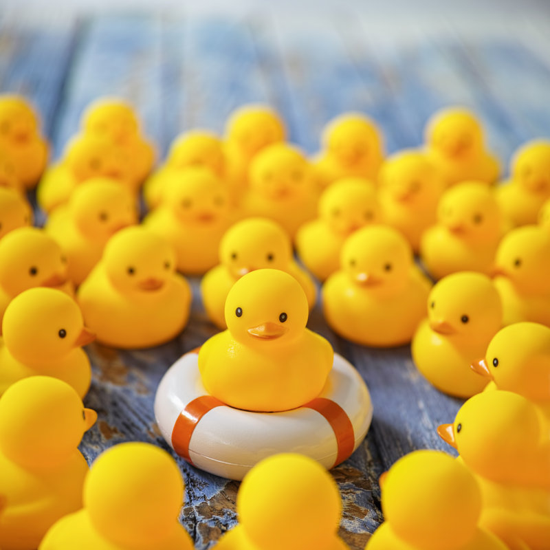 Rubber Ducks Gathering Around A Duck On A Life Ring. by Enviromantic - No Frame Print on Canvas, 51cm H x 51cm W