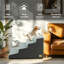 Pet Stairs With Steps-896757982