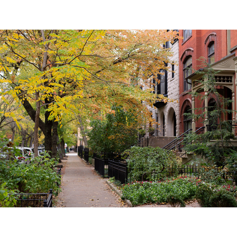 Chicago Brownstones In Fall Print by Morgan Anderson