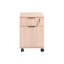 Roller Cabinet