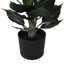 Lilas en pot - moyen-1640272737