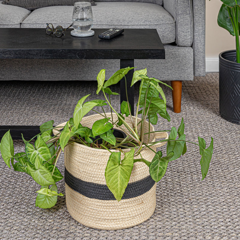 Natural Handwoven Paper Rope Basket with Black Stripe and Handles