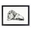 Sleeping Lion by Jean Bernard - Picture Frame Drawing Print-55619104-55619106