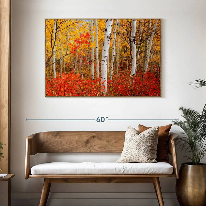 Bouleaux d'automne, Cadre flottant en bois naturel, 46 po x 31 po