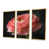 Toile avec cadre flottant or