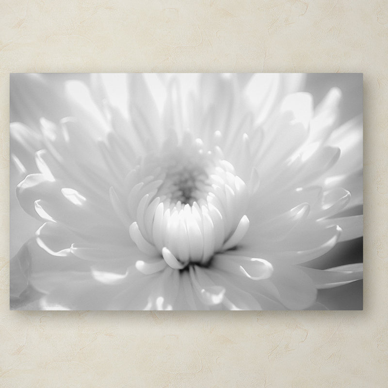 « Infrared Flower 2 », épreuve photographique sur toile tendue, H 22 po x l 32 po x P 2 po