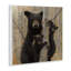 31_Ours noir et oursons tendres, forêt tendue de forêt par Collin Bogle-105325583-105325582