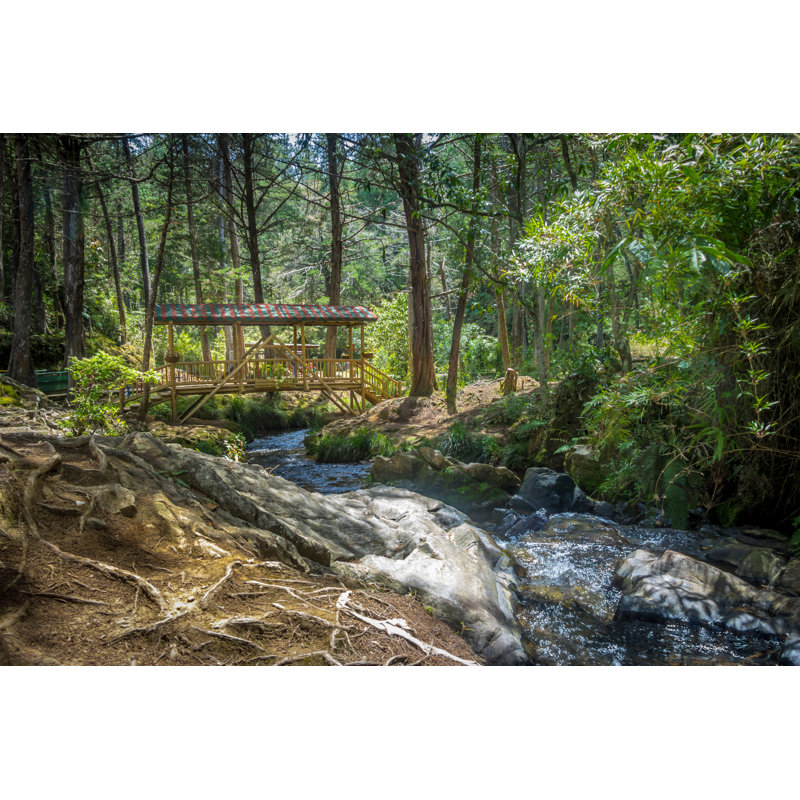 Wooden Bridge, Medellin, Colombia by Diegograndi - Wrapped Canvas Print, 30cm H x 46cm W