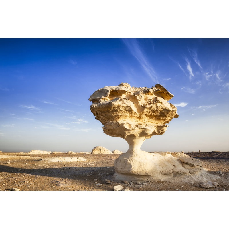 Le champignon du désert blanc par Cinoby, H 32 po x l 48 po