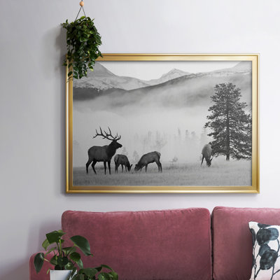 Mountain Elk, reproduction d'art sur toile