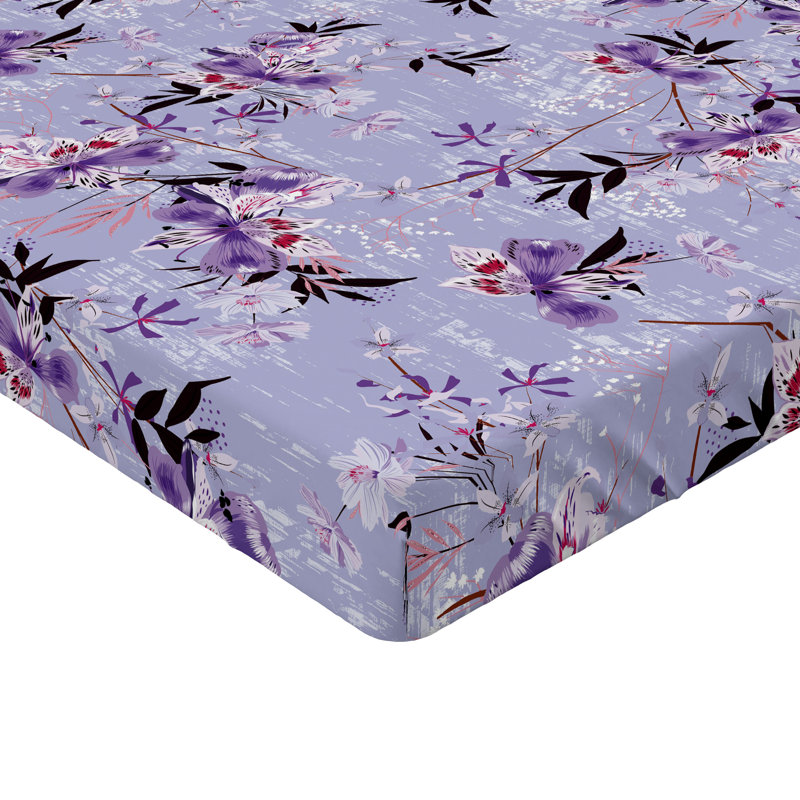 Drap-housse Ambesonne, Drap-housse grand
