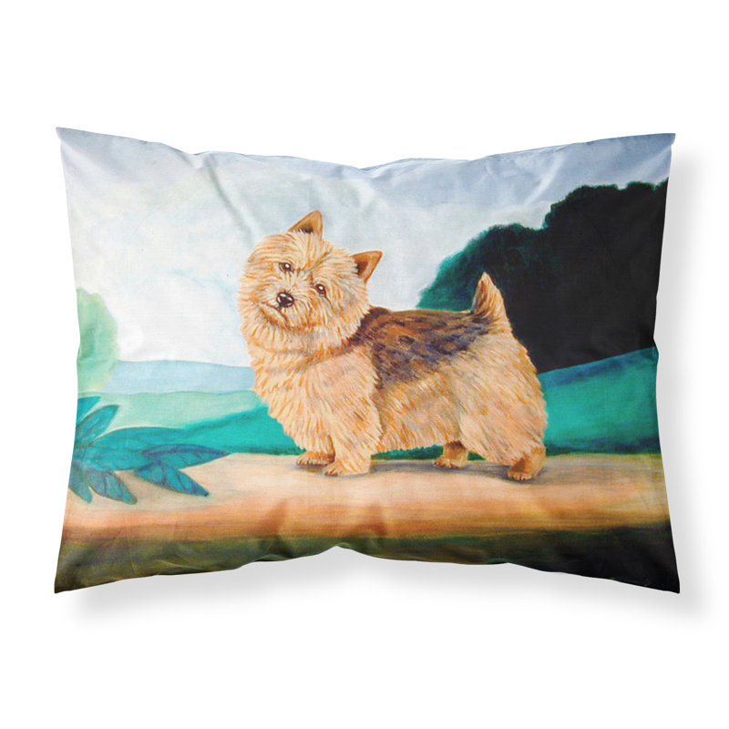 Microfiber