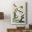 Oiseaux antiques dans la nature I - galerie Cavas sur mesure-342695530