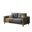 Couches pour le salon, canapé rembourré en tissu moderne capitonné avec accoudoir carré et 4 pieds en bois massif pour 2 coussins décoratifs