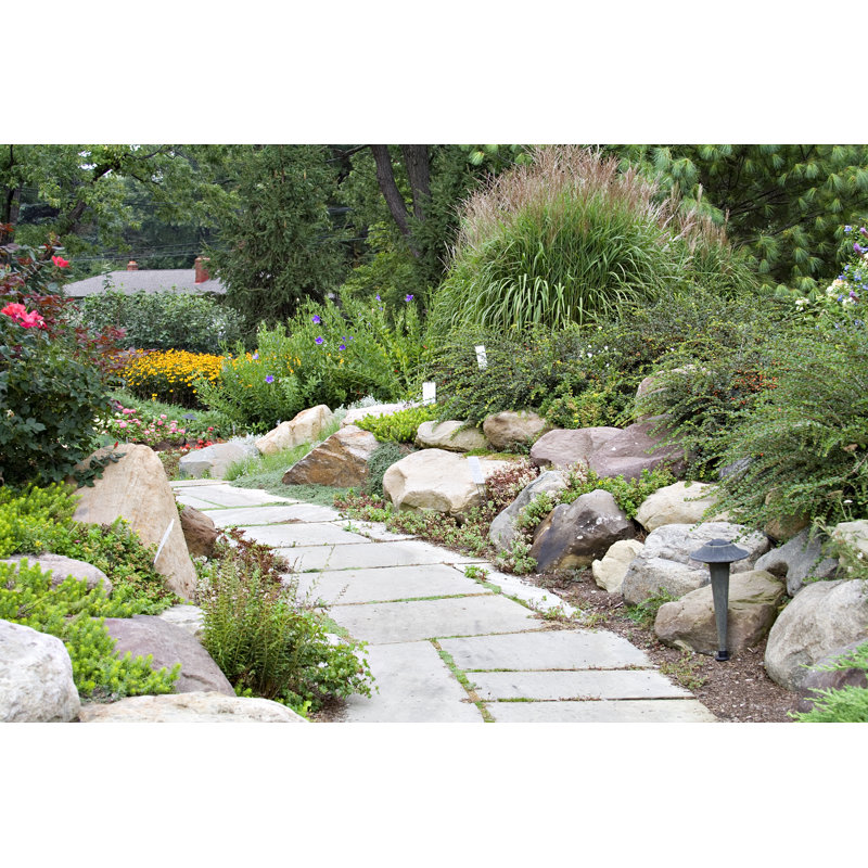 Garden Stroll by Dkapp12 - Wrapped Canvas Print, 30cm H x 46cm W