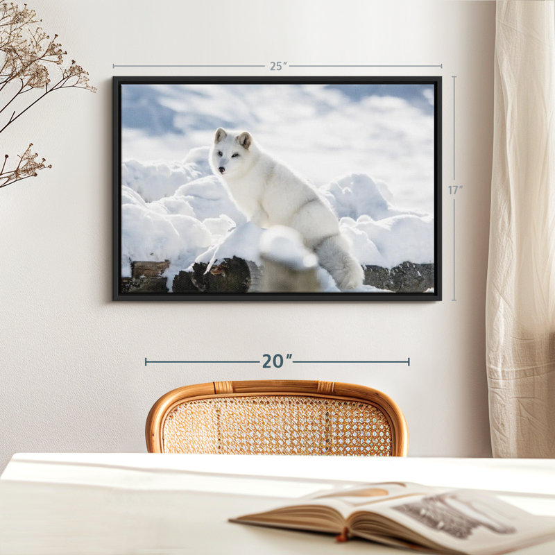 Impression sur toile renard arctique, H 17 po x l 25 po