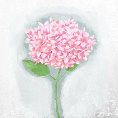 Pink Hydrangea Alone - Wrapped Canvas Painting