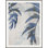 As The Leaves Grow 1 Print by Art House Studios