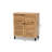 Clevedon 12 Pair Shoe Storage Cabinet