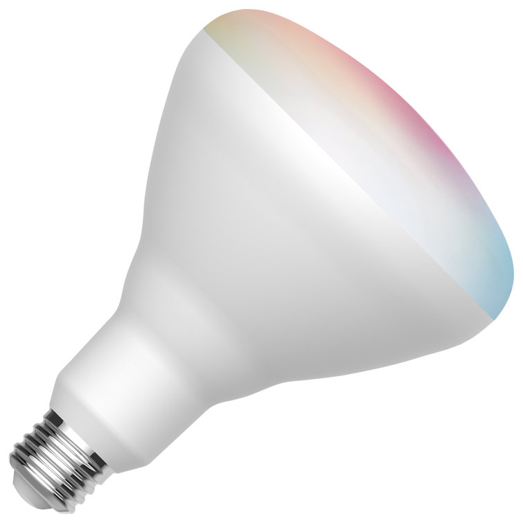 75 Watt Equivalent BR40 E26/Medium (Standard) Dimmable LED Smart Bulb