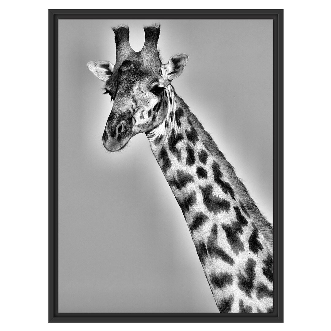 Gerahmtes Wandbild majestätische Giraffe