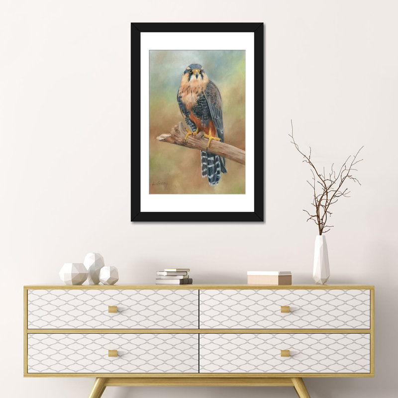«Aplomado Falcon» par David Striblling, impression sur toile tendue, H 32 po x l 24 po x P 1 po, Papier d'art encadré noir