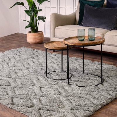 Peck Geometric Shag Area Rug