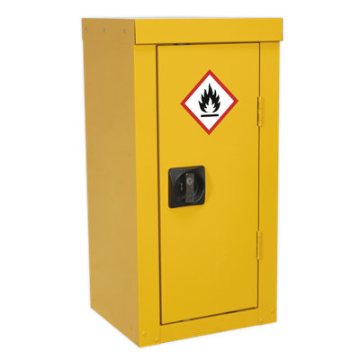 Shanita Metal Safety Cabinet