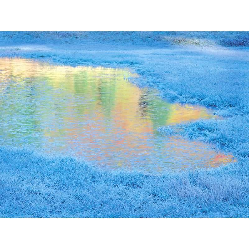 Frozen Autumn Pond Print by Bruce Heinemann, Black Framed Paper, 25.25" H x 31.25" W