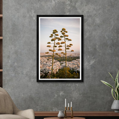 Agave sur les hauteurs d'Athènes II