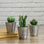 Mini cactus artificiels 5 po en pot d'étain