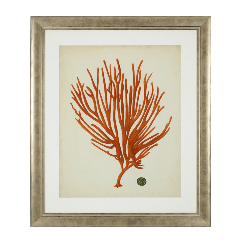Antique Corals Print