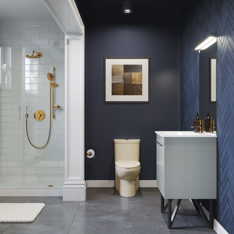 Sublime One-Piece Elongated Dual-Flush Toilet in Bisque 1.1/1.6 gpf, Bisque, Top
