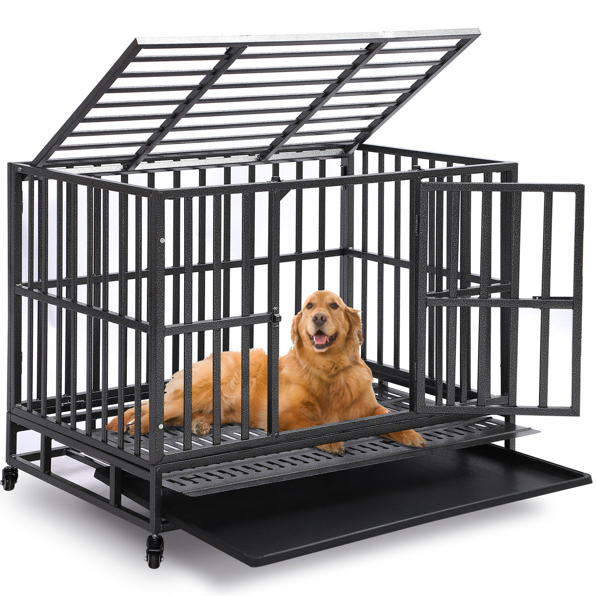 Curated visual reference: Tucker Murphy Pet Heavy Duty Dog Crates For Large Dogs Photo Inspiration