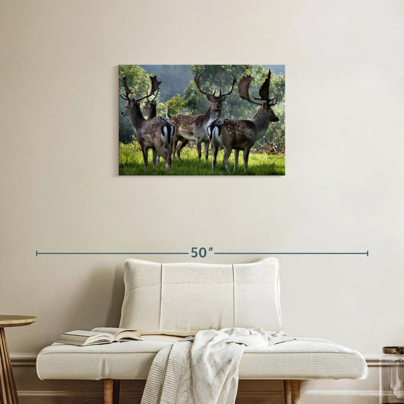 Brampt Deer Alliance, 20" H x 30" W